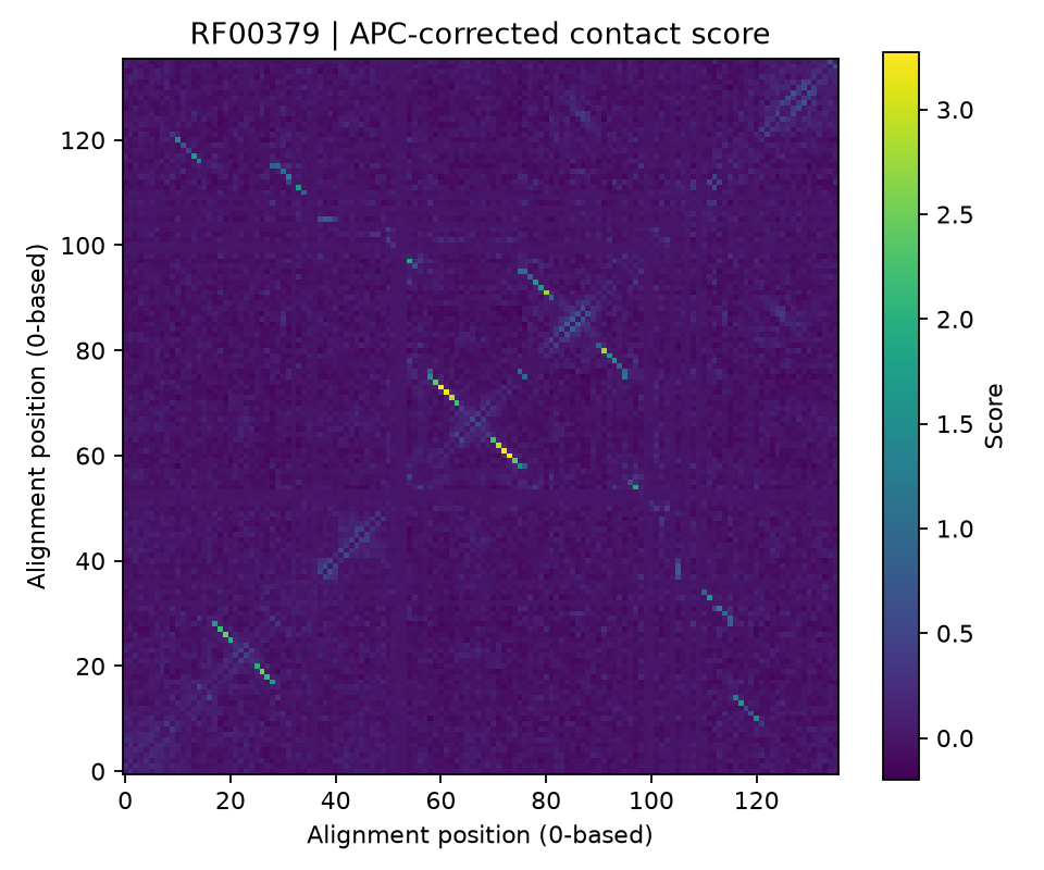 APC-corrected contact scores for RF00379